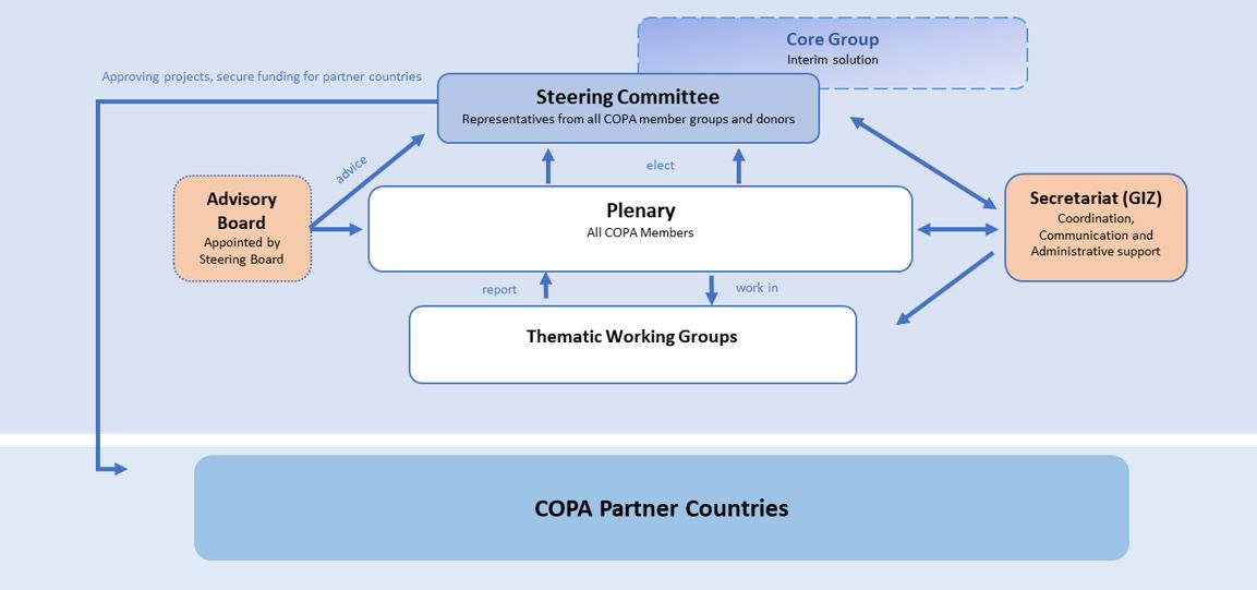 COPA Governance Structure 